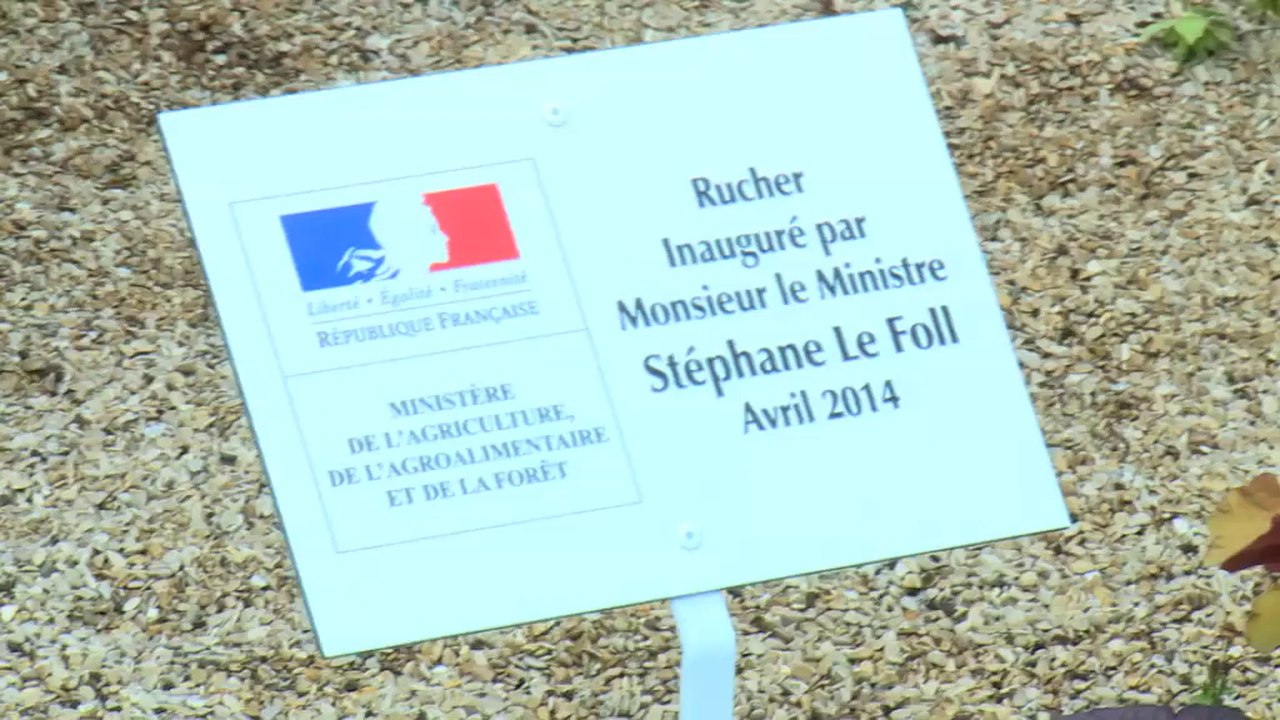 Stéphane Le Foll inaugure les ruches du ministère