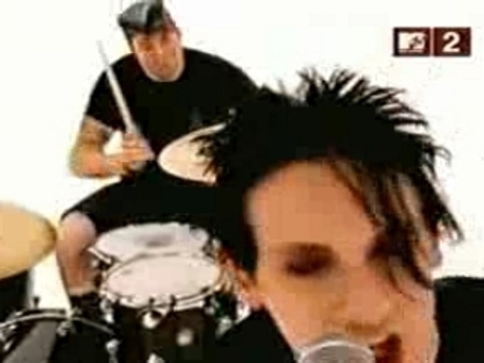 The Distillers - The young crazed peelin