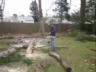 The Tree Refuses to Stay Cut Down