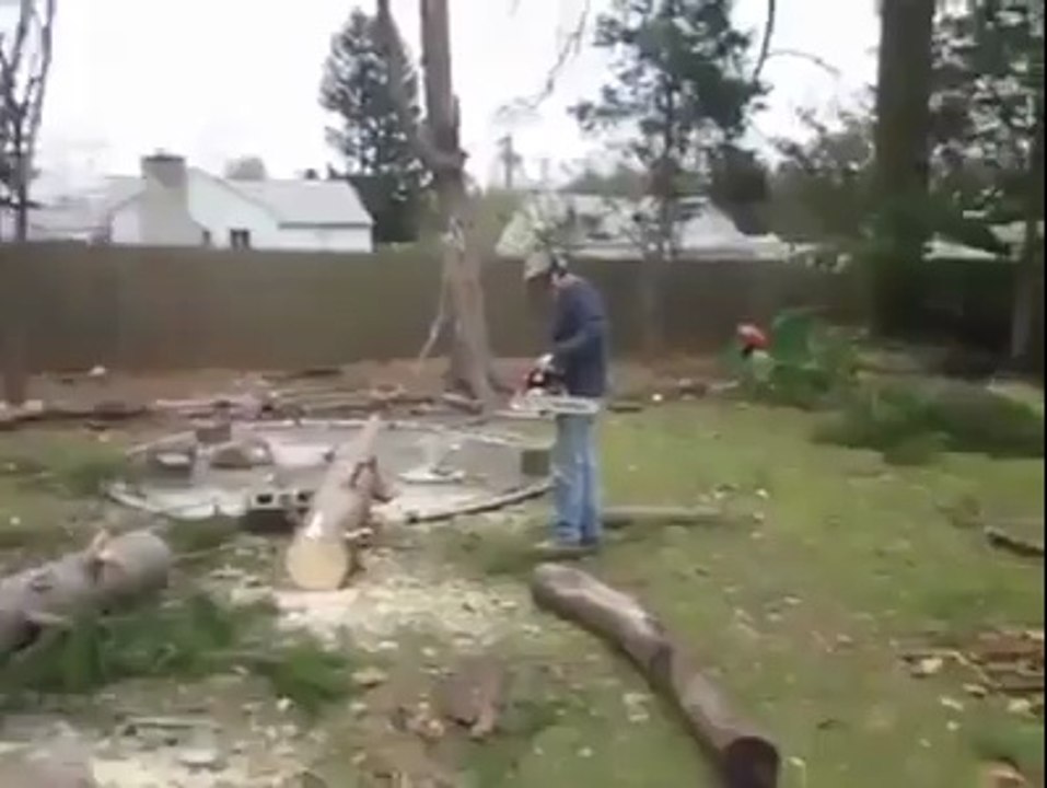 The Tree Refuses to Stay Cut Down
