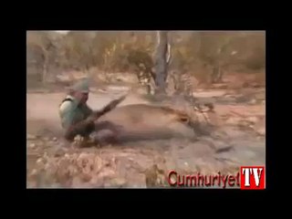 Üzerine gelen aslanı son saniyede vurdu