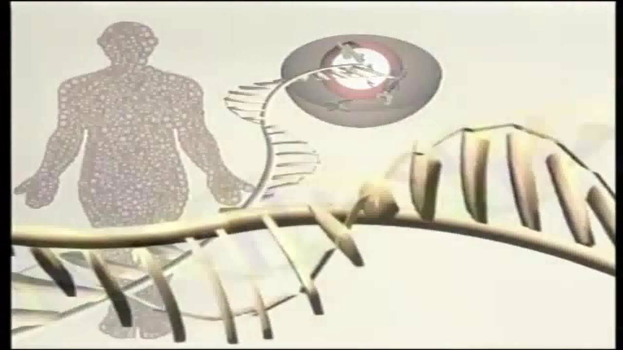 Biologia del desarrollo
