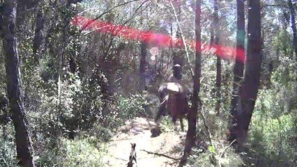 Pujet avec chiens et cheval 07