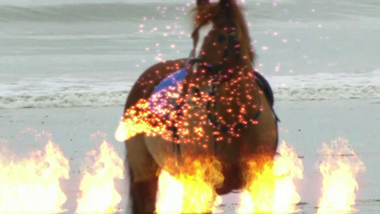 l'oiseau noir légende