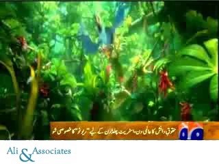 Ali & Associates celebrates World Intellectual Property Day