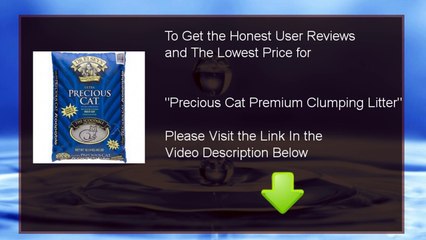 Buy Cheap Precious Cat Premium Clumping Litter : Review And Discount