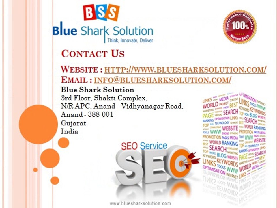 Blue Shark Solution offers exclusive SEO services at reasonable prices