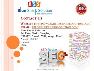 Blue Shark Solution offers exclusive SEO services at reasonable prices