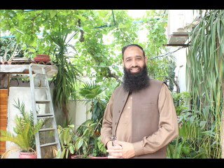 strawberry tariqa kasht aur mosam Dr.Ashraf Sahibzada