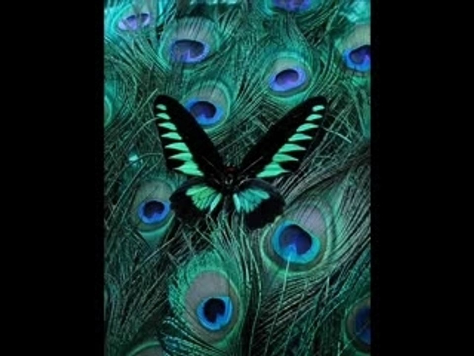 Express Yourself Contest WIN PRIZES