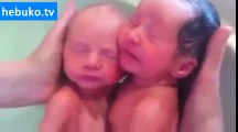İkiz bebeklerin ilk banyoları