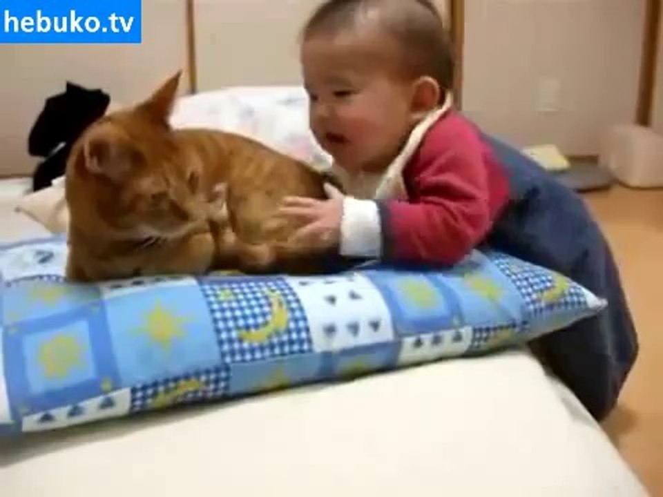 Kedinin kuyruğunu ısıran bebek