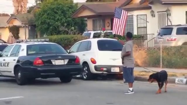 BUNLAR POLİS DEĞİL, ŞEHİR EŞKİYASI...