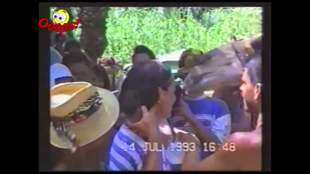 Funny Animals Best of Camels