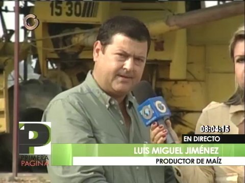 Alertan sobre problemas de insumos para iniciar siembra de maiz