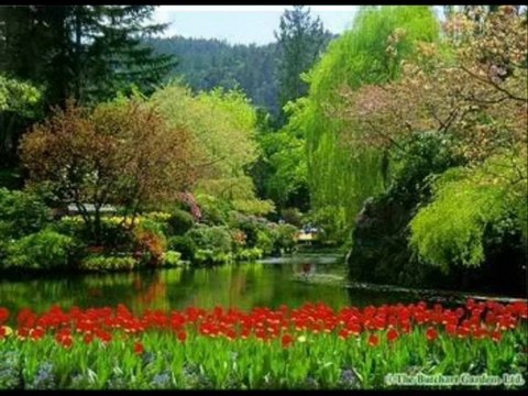 Doğayı sevenler için ( OKYANUS )