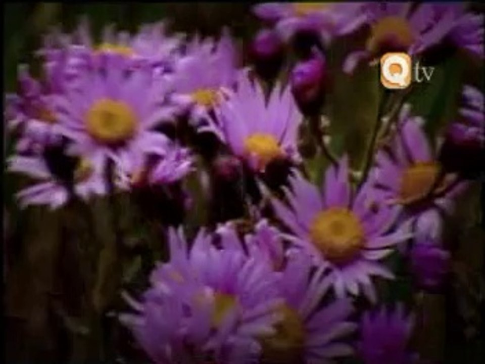 Allah Hu Se Qalb Jagaye Jaa - Full Latest Official HD Hamd By Hafiz Noor Sultan