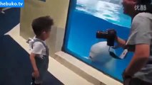 Yavru balinadan küçük çocuğa sulu şaka
