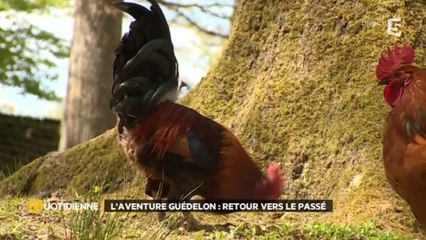 Guédelon : une aventure médiévale qui se construit de jour en jour