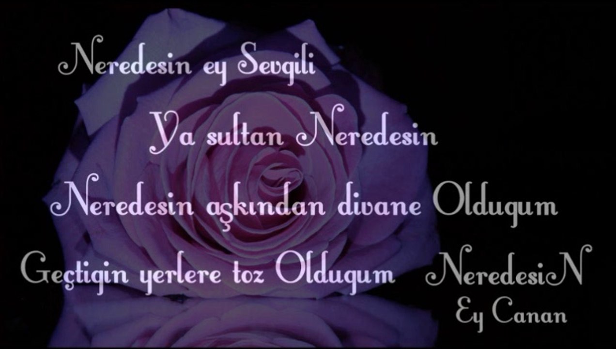 metin kalaman : medine ye varamadım