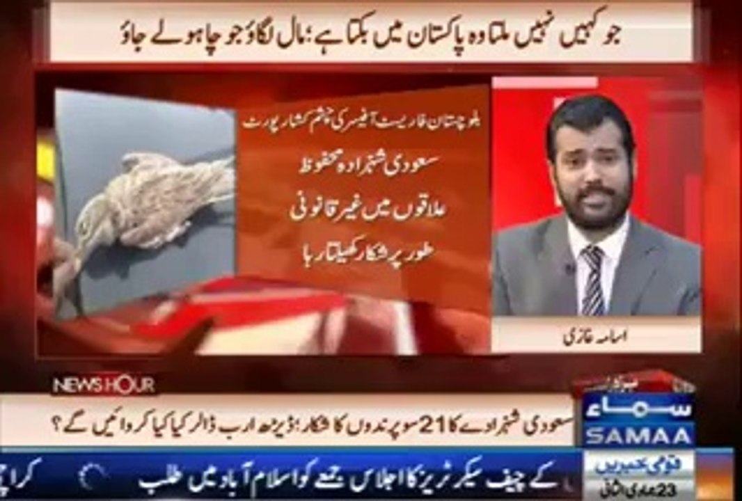 Saudi Shahzaday prey almost 2100 rare birds in Pakistan - SochTV.com