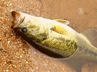 Художник изображает невидимую радиацию