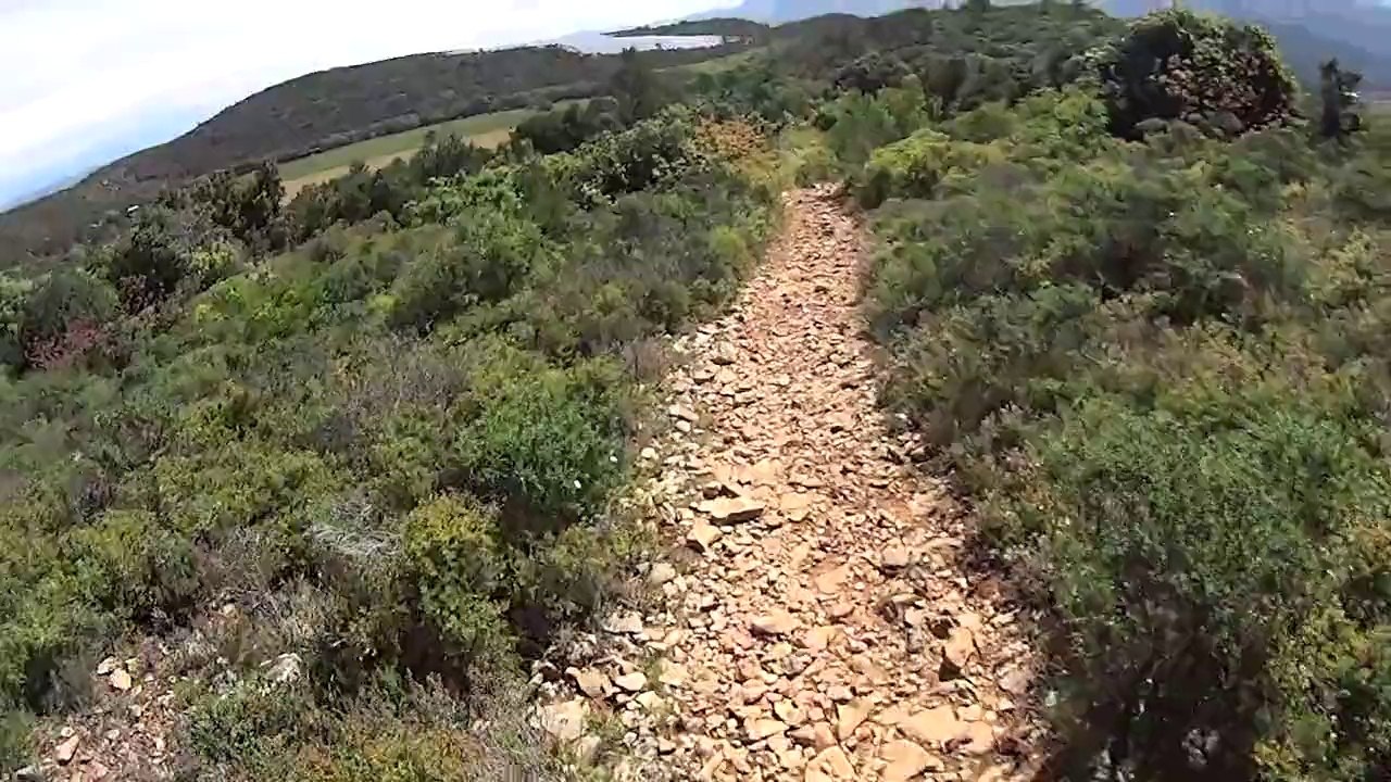 Pujet avec chiens et cheval 05