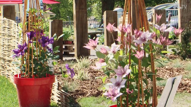Les Jardins de Nonères, une pépinière pas comme les autres...