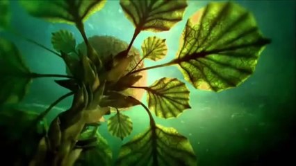 Alien Planets Like Earth [2014 Documentary] NEW