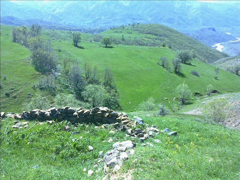 SİDAR BERİTAN LORİ LORİ BERXEMIN MUŞ YAMAÇ KÖYÜ KERRAN VE BİNGÖL ASMAKAYA KÖYÜ