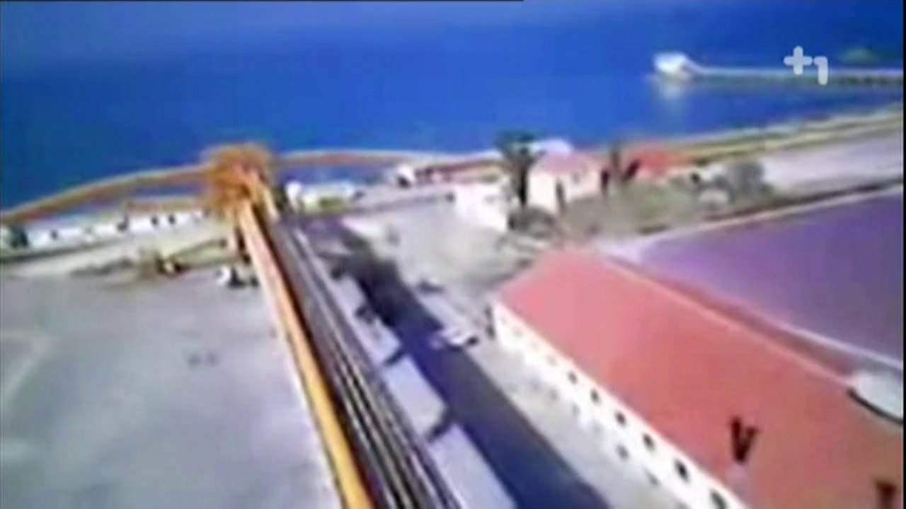 Satılık kuş cenneti - Canlı Gaste