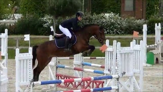 CSO P1 Lamotte-Beuvron 24/04/14 - LLETTYCRUDD TOMOS