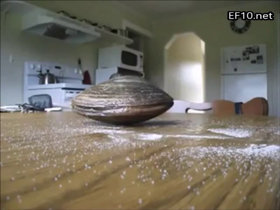 Canlı Bir Midyenin Etrafına Tuz Dökerseniz..