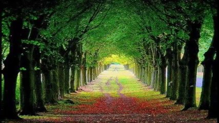 SERVET TEKİN - AŞKSIZ OLMAYAYIM