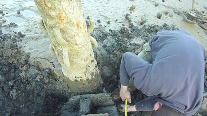 Les deux pieds dans la vase, à l'origine des livres qui nous ont fait rêver, les vieux thoniers  du Blavet !