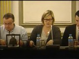 Conseil Municipal du 29 avril 2014 1ère partie