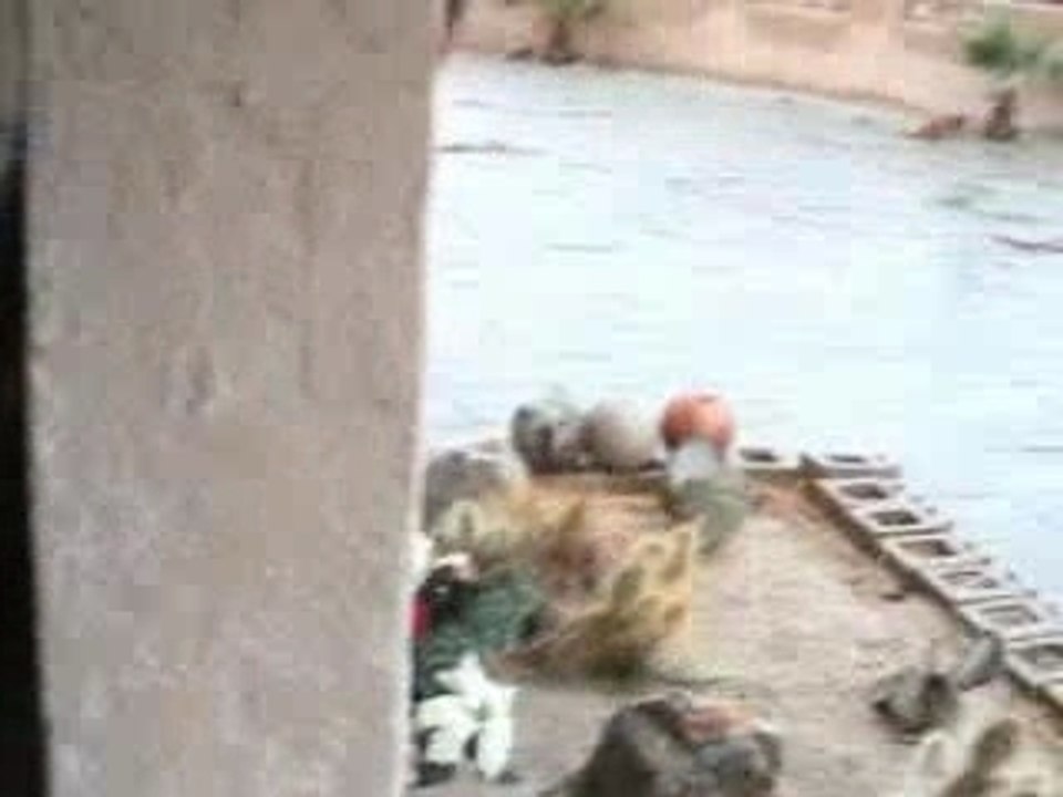 Making Of Desert Sessions 9 & 10