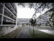 Miniature DailyMotion