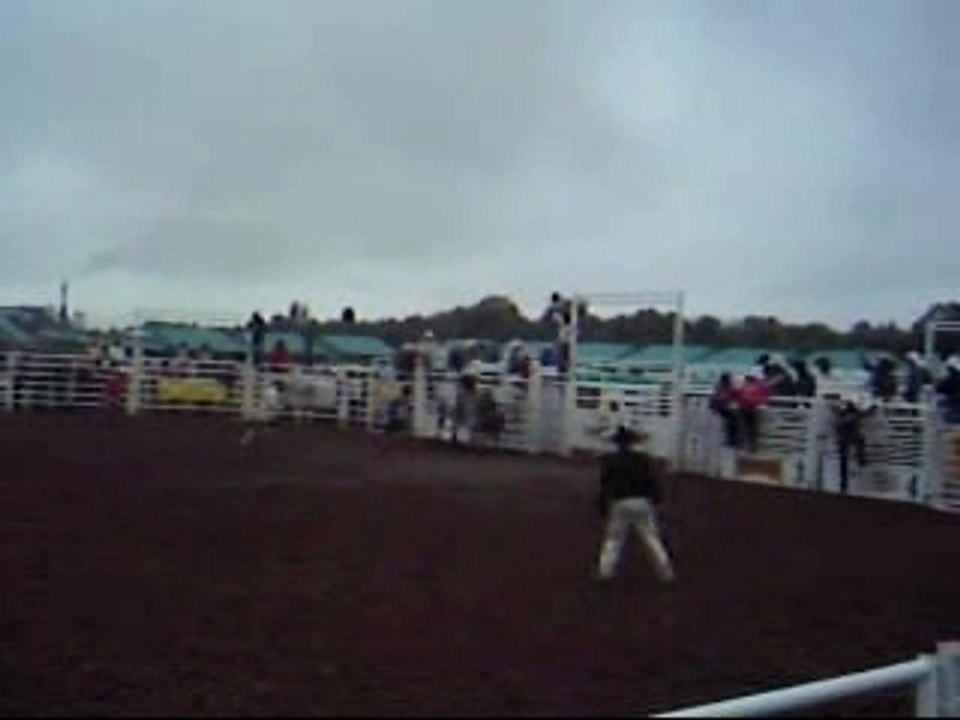Rodeo taureau paris