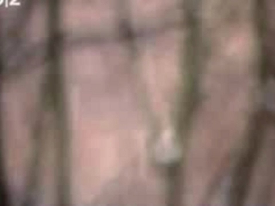 Errors - Terror Tricks
