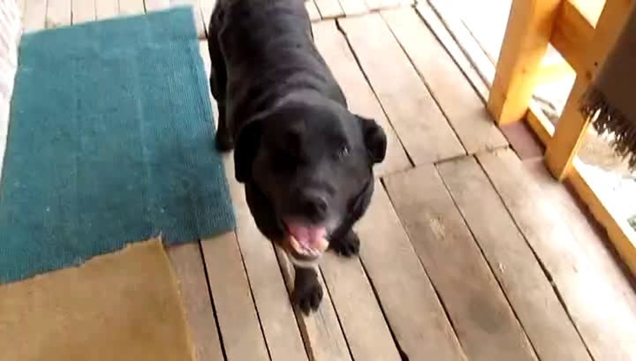 labra