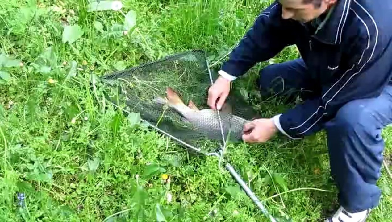 2,600kg