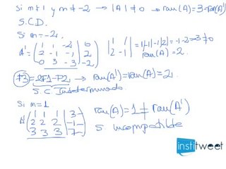 Discutir sistema según parametro y resolver cuando sea Indeterminado