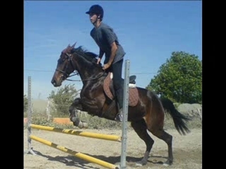 Amitié