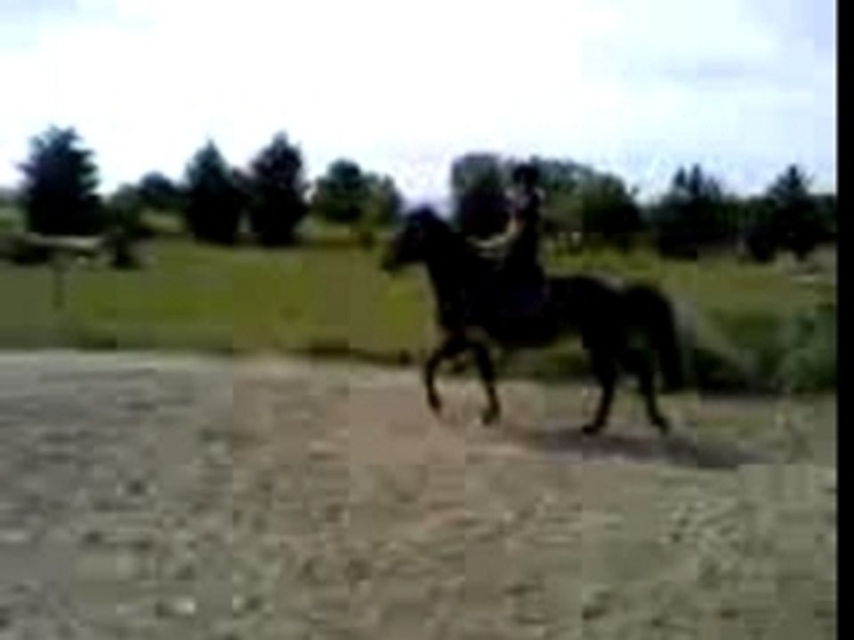 Mégane sur bamba