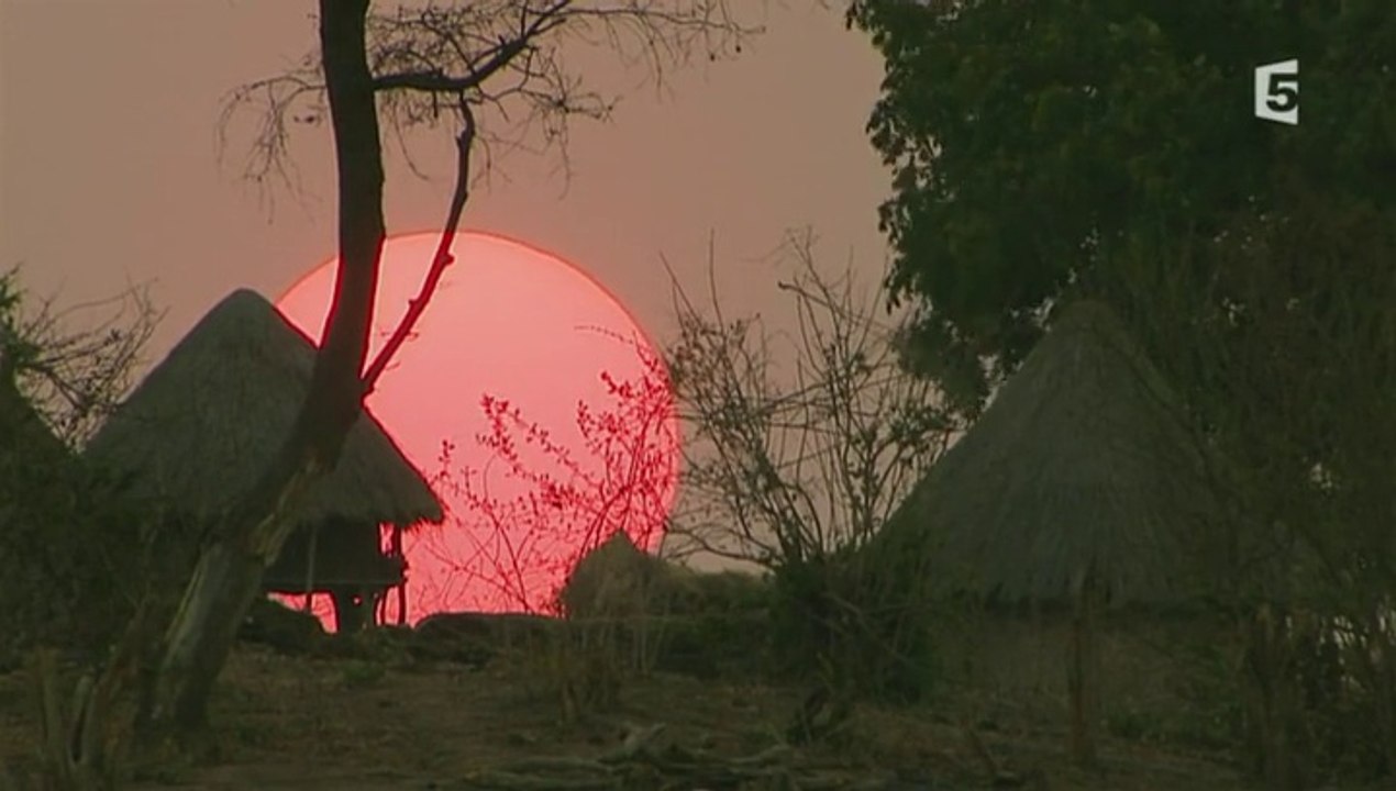 Hold-up au Zimbabwe. [Docu***]