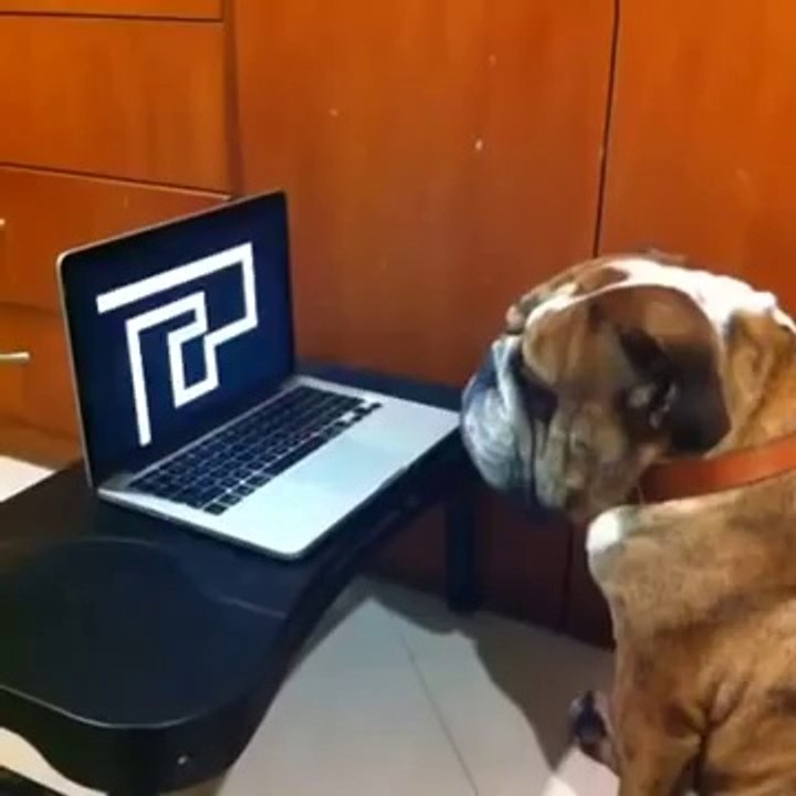 Prank Fail - funny2funnys