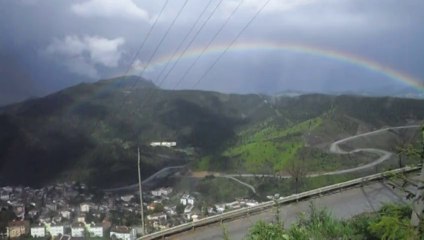 KÜRE GÖKKUŞAĞI GÖRÜNTÜSÜ