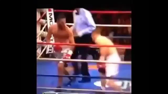 Best of Vines Compilation 2014 April best of Vines Compilation 2014 April top Funny Videos new