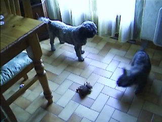 Chanel et Jaudy ce matin